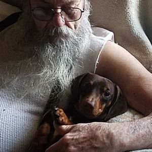 Meet your Posher, Bill